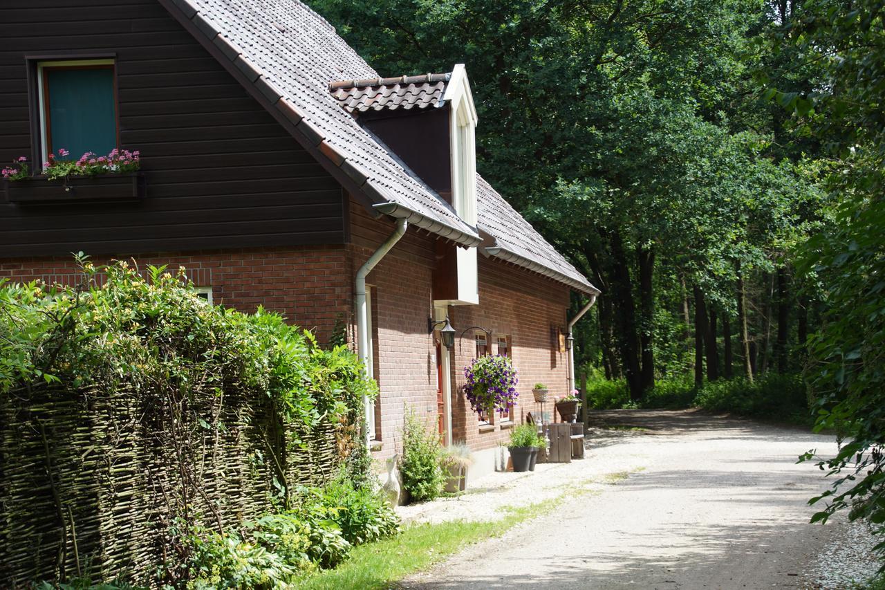 Bed & Breakfast Aan De Beek Arcen Dış mekan fotoğraf