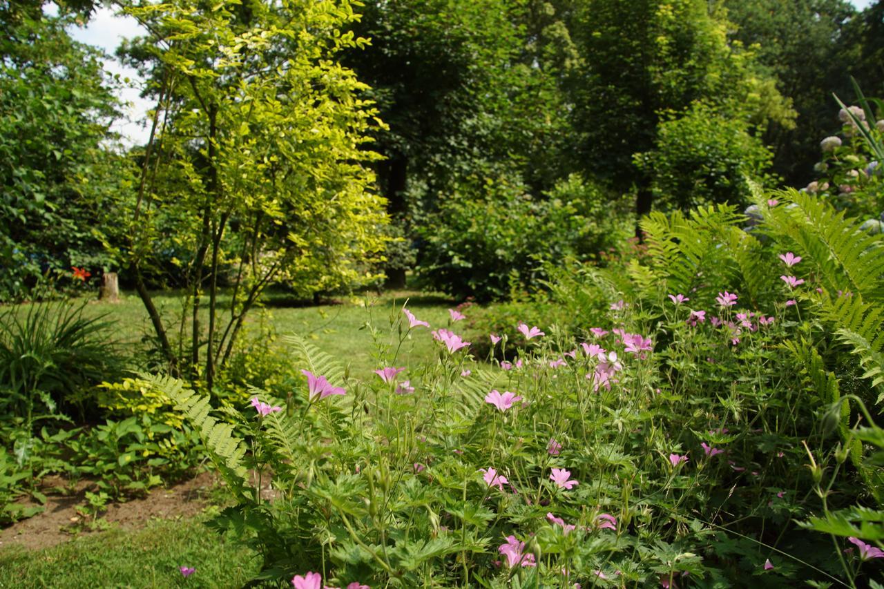 Bed & Breakfast Aan De Beek Arcen Dış mekan fotoğraf