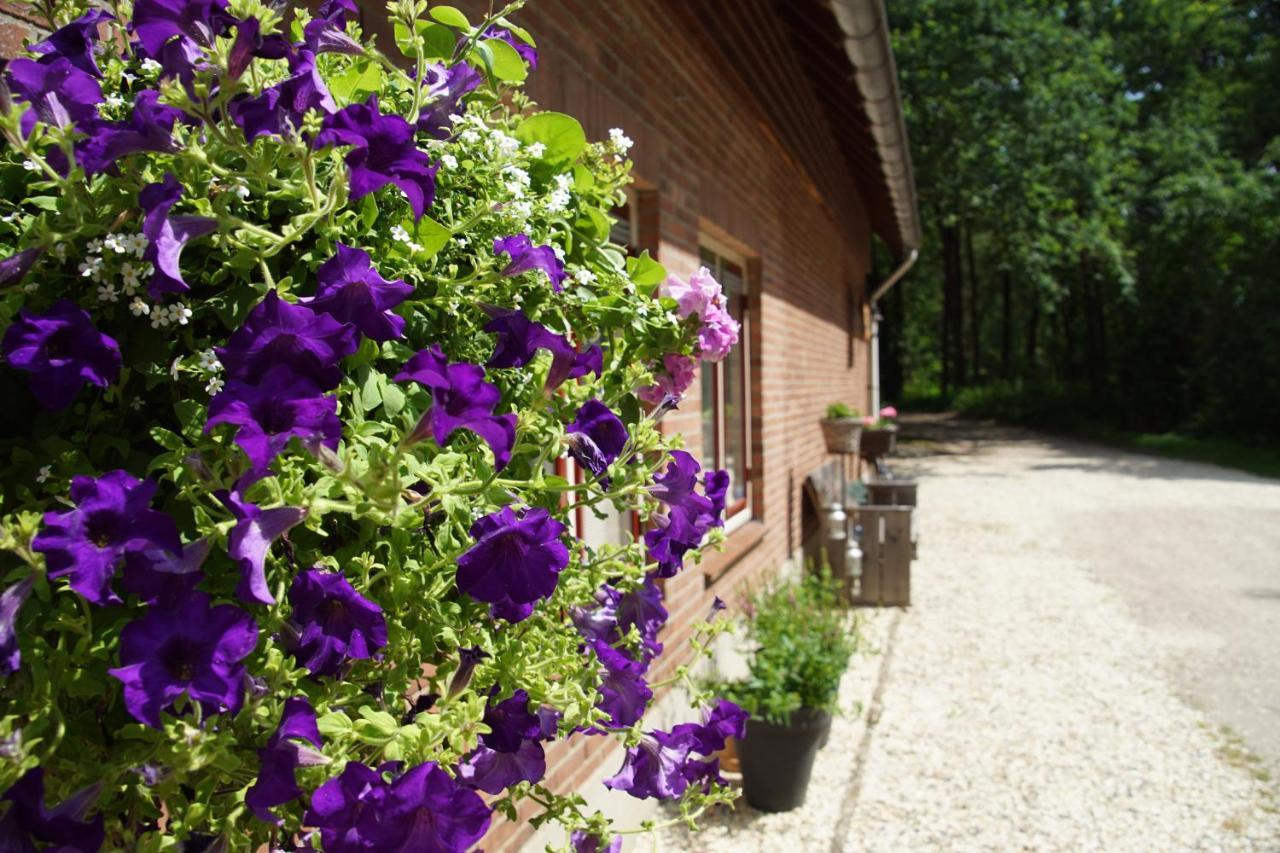 Bed & Breakfast Aan De Beek Arcen Dış mekan fotoğraf
